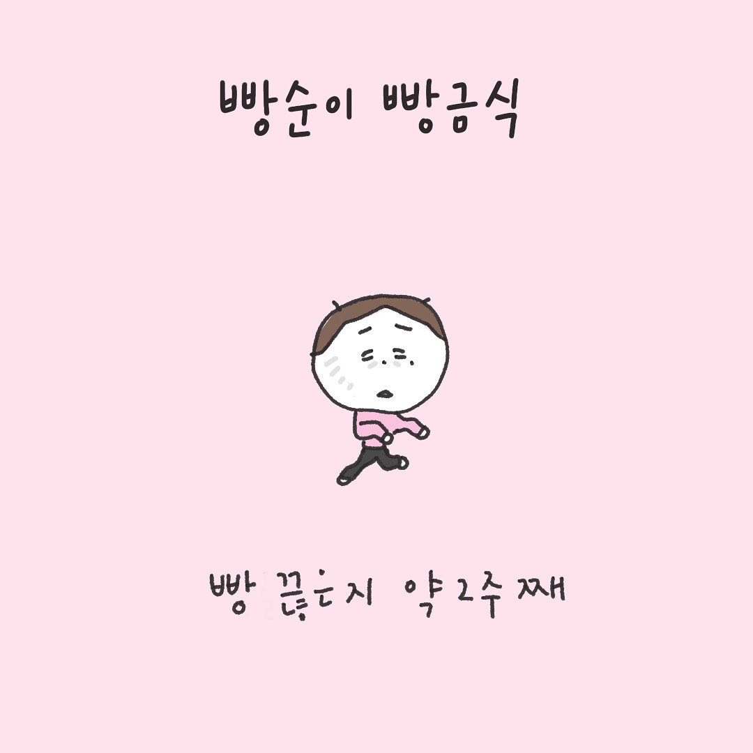 빵순이 빵금식