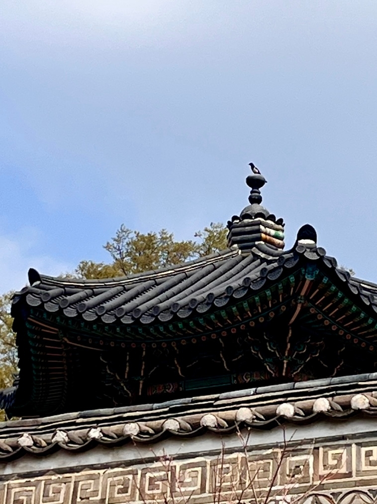 궁궐 이미지