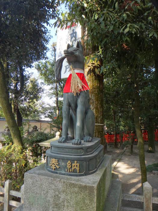 여우유부 이미지