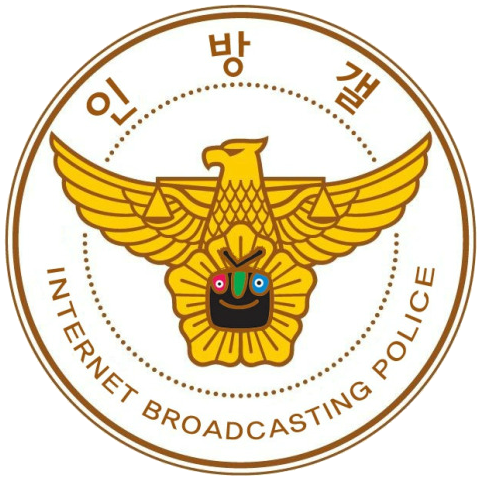 인방갤과 뉴미디어 리터러시 - 당신의 눈에 비친 Y...