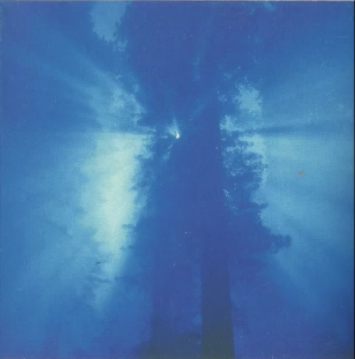 프랑스 영화살롱