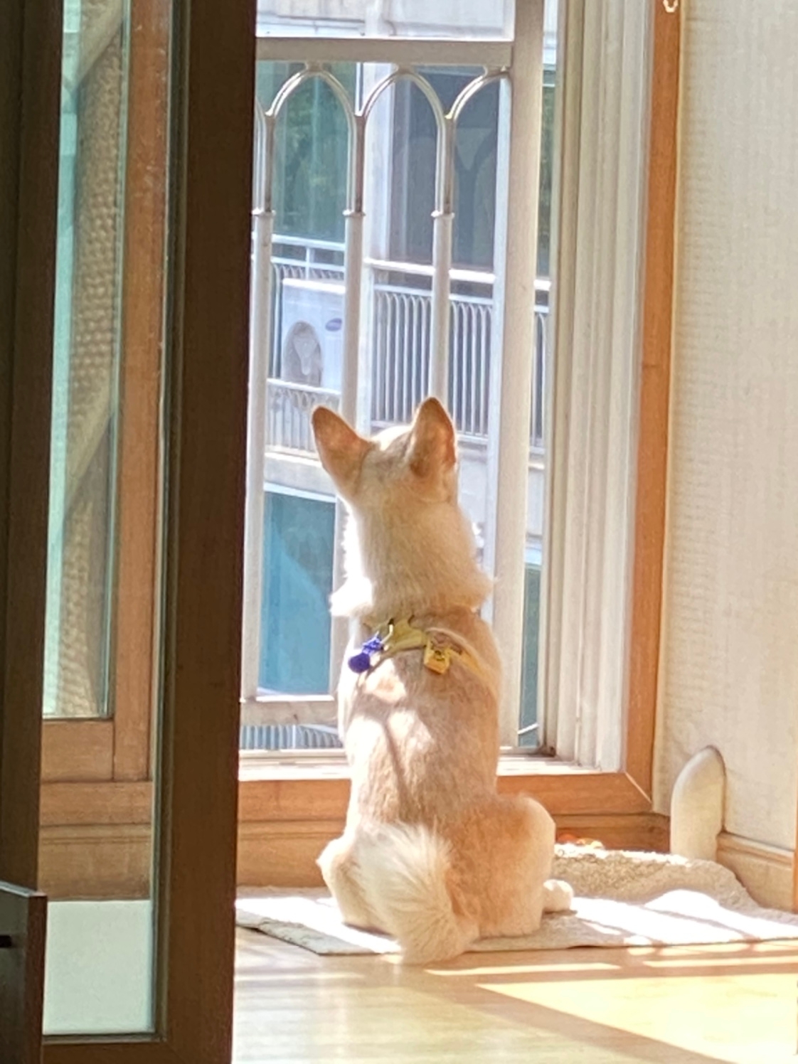 민팅은 민트 초코를 멜팅한건가요?