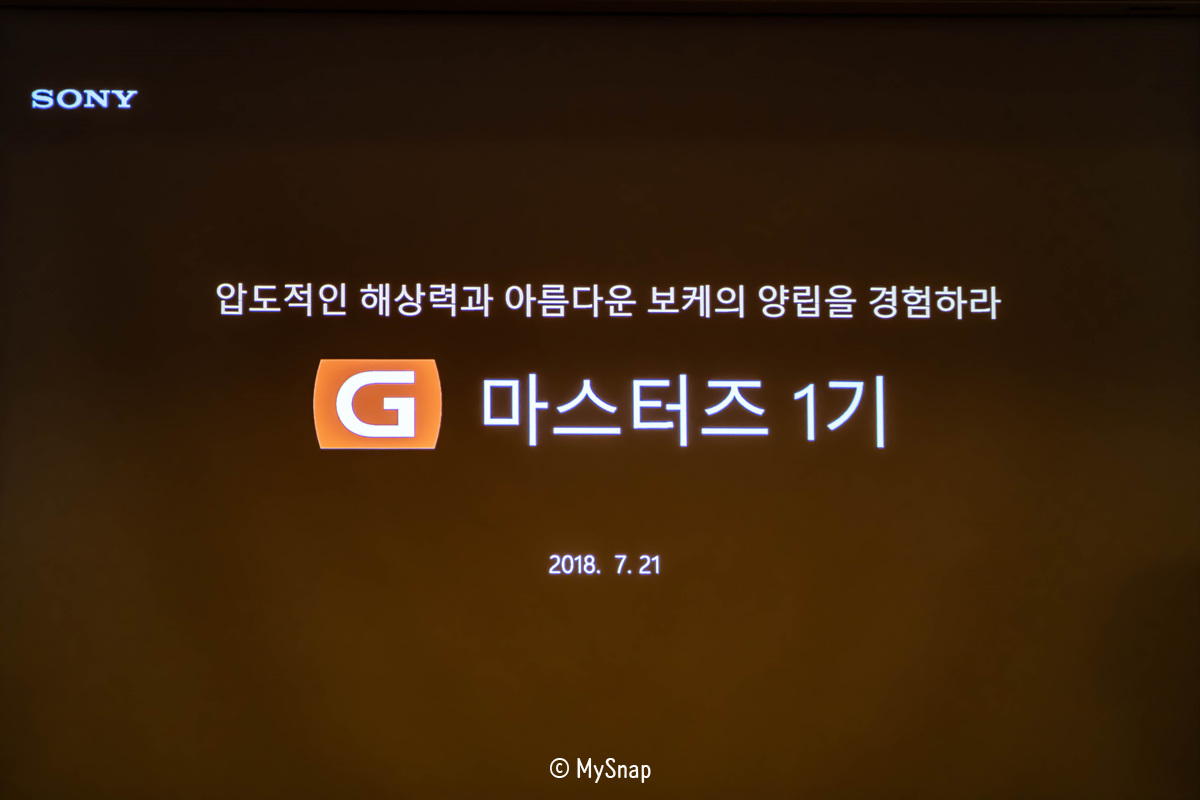 SEL1635GM Final Review
