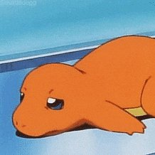 길 잃은 강아지