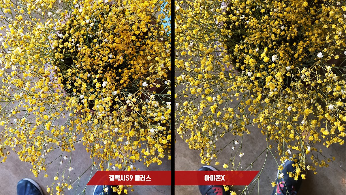 아이폰X & 갤럭시S9플러스 개인적인 사진 느낌은? ...