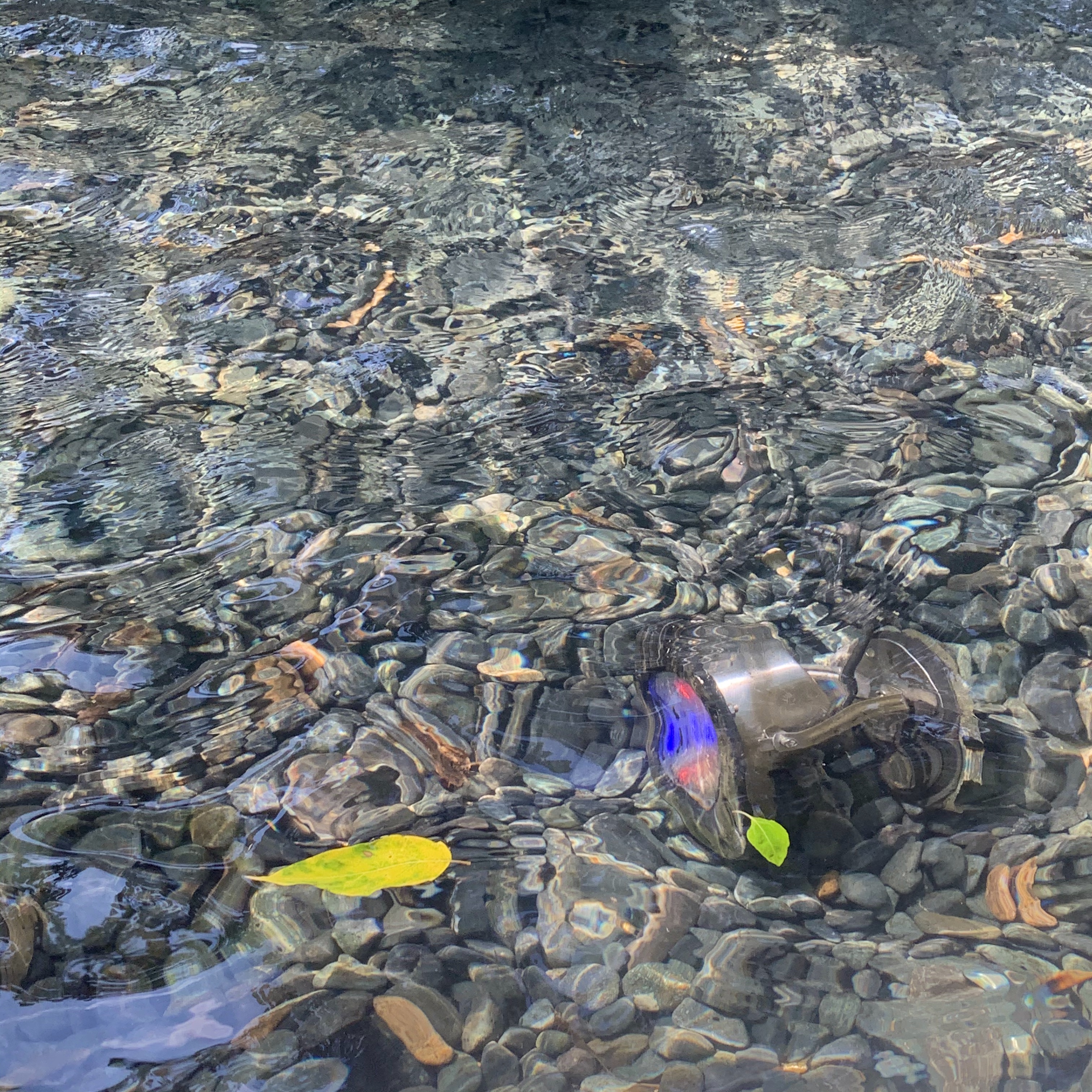 사적인 나의CODE