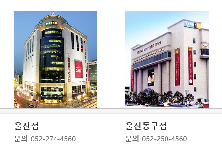 이하나 작가 현대백화점 저자강연회 일정 안내