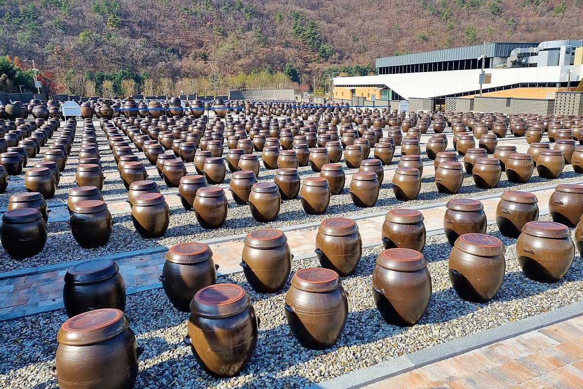 파주장단콩두부 이미지