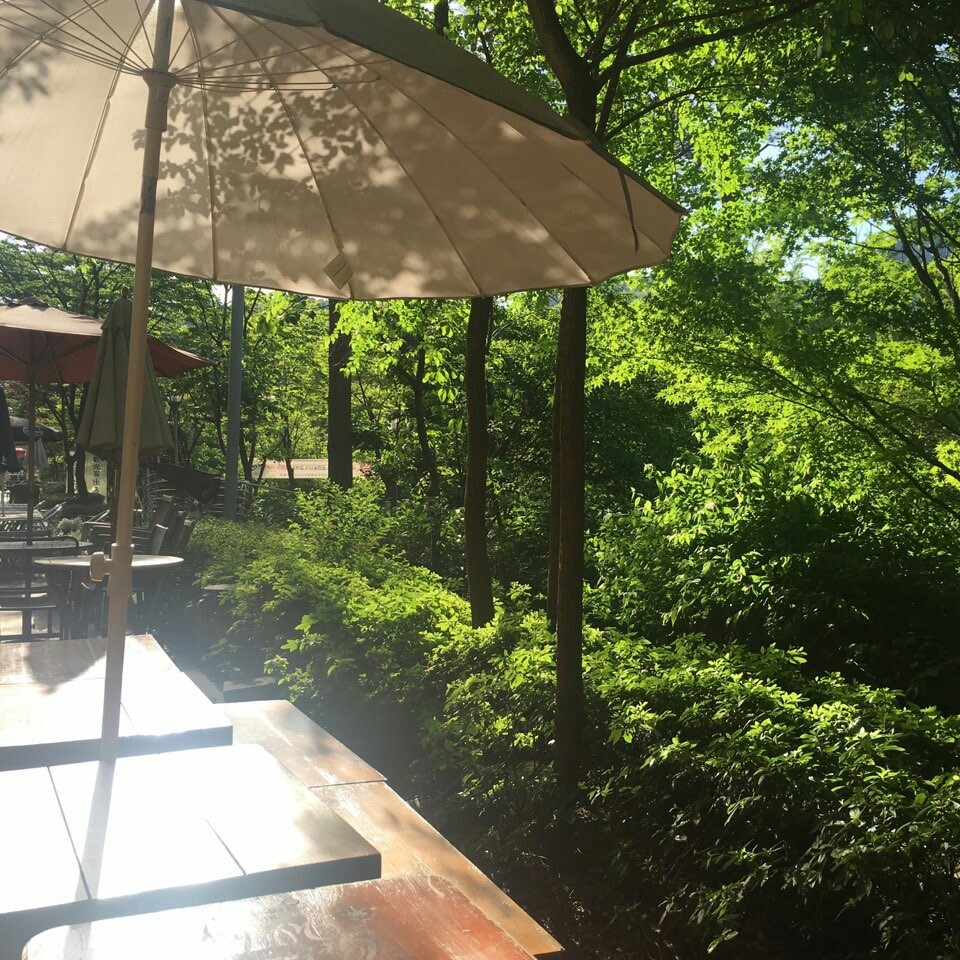 SJ의 어느 멋진 날