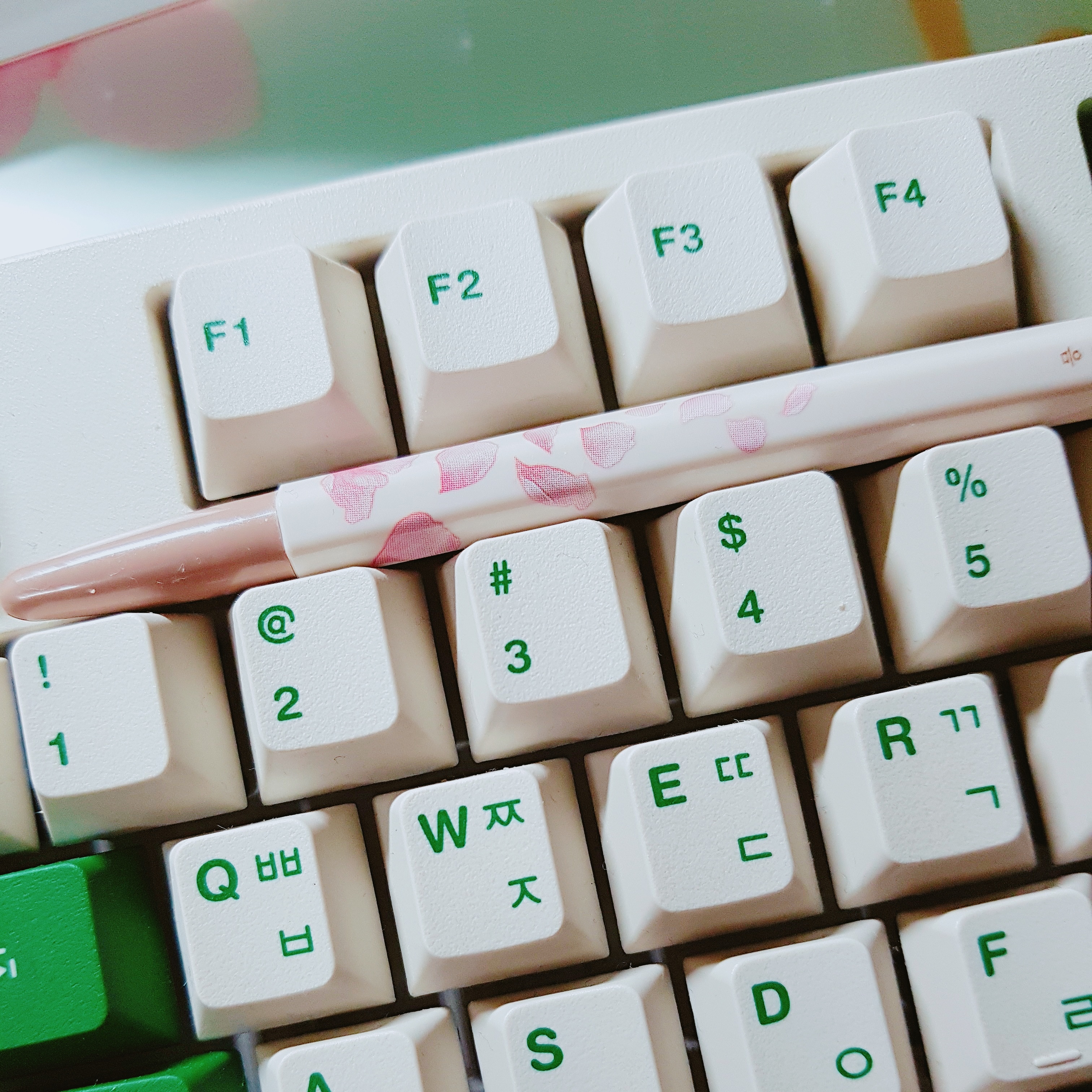 마감 나라의 앨리스