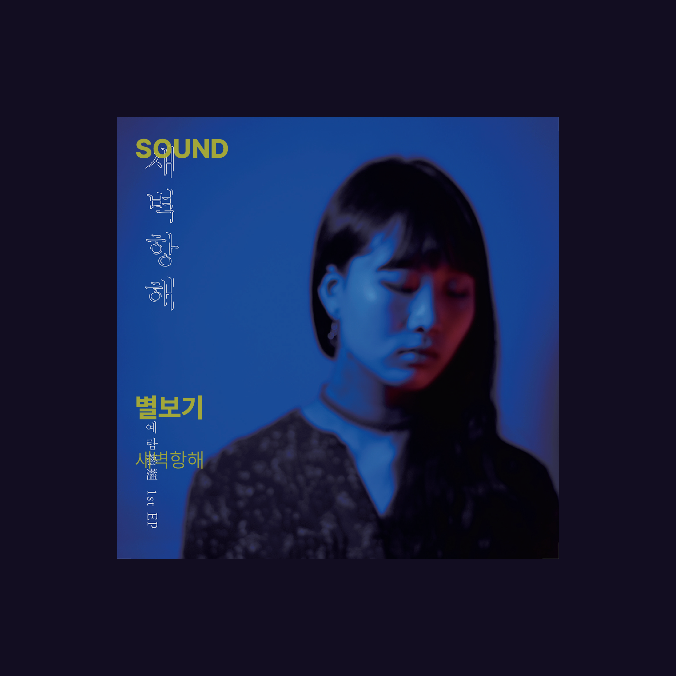 별보기@2x.png