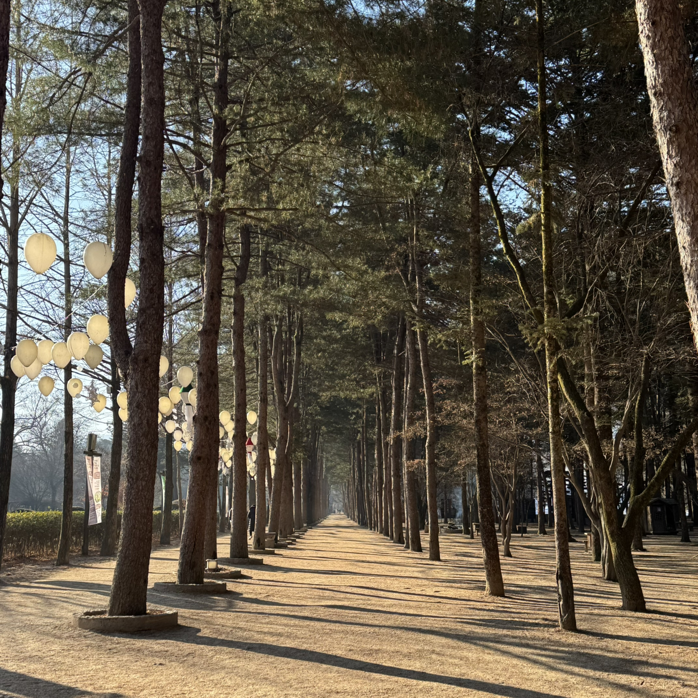 지운이네엄마손김 이미지
