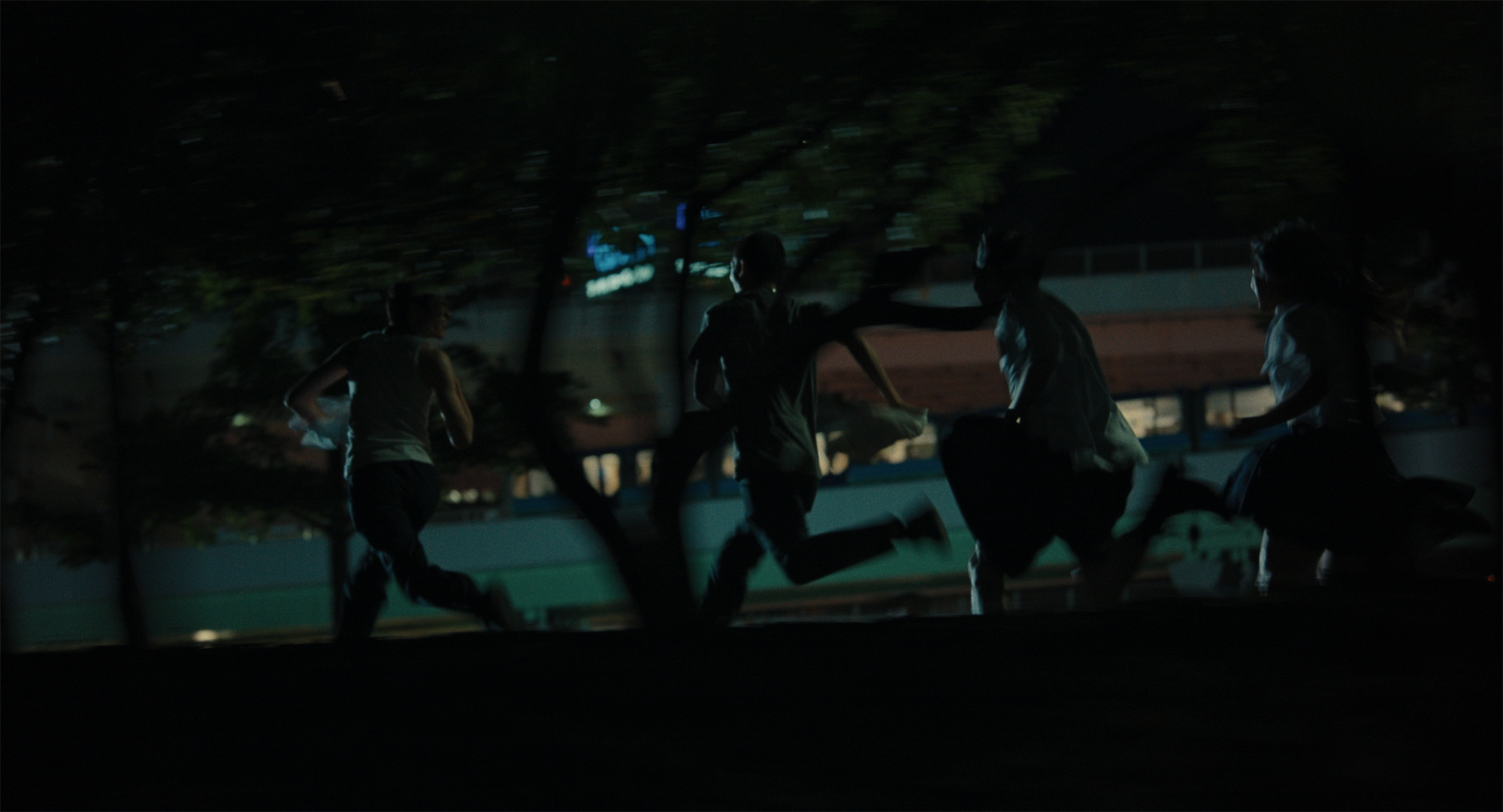 2025 영화 연말결산