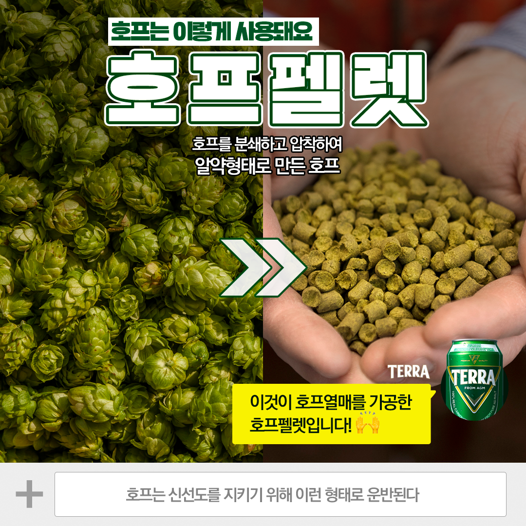 알고 마시면 더욱 맛있는 맥주 테라는 왜 청정라거일까