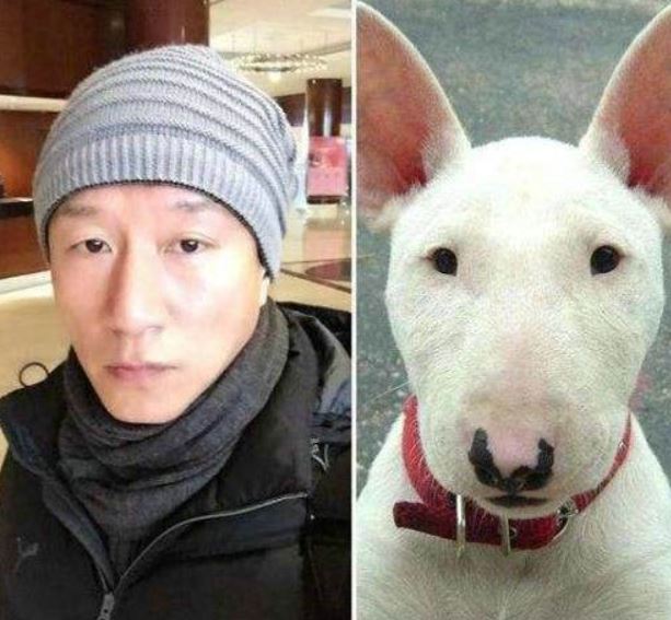 호선생 이미지