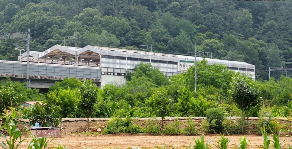 사람과자전거 이미지