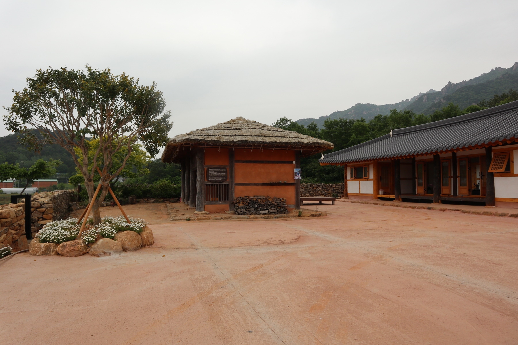 차. 사람 향기