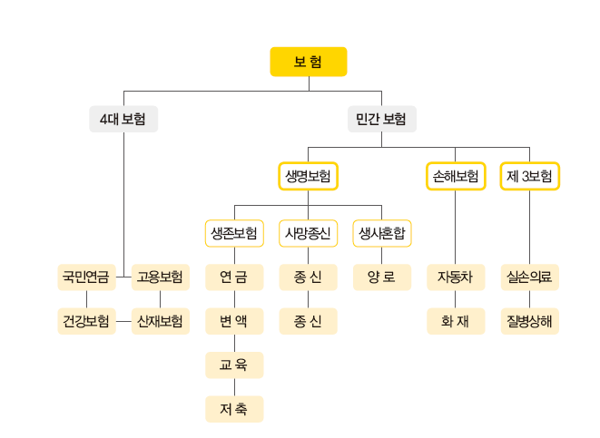 좋든 싫든 없이 살 수 없는 보험 - 사회초년생 월...