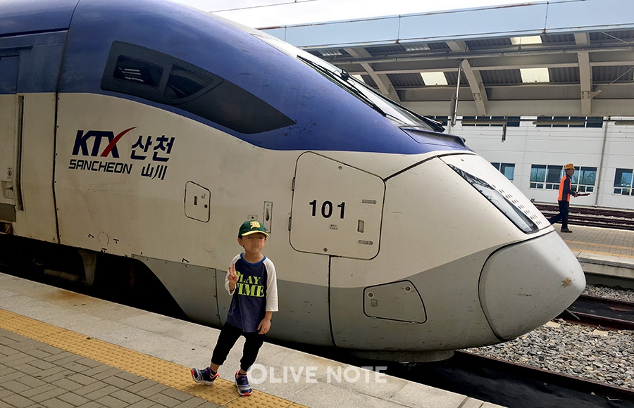 아이와 함께 떠나는 100점 만점 기차여행 만들기