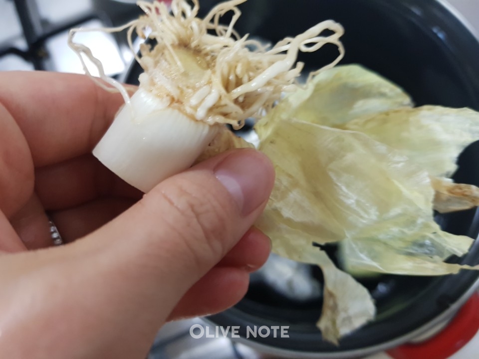 '알고보면 영양만점' 파뿌리·양파껍질 버리지 마세요
