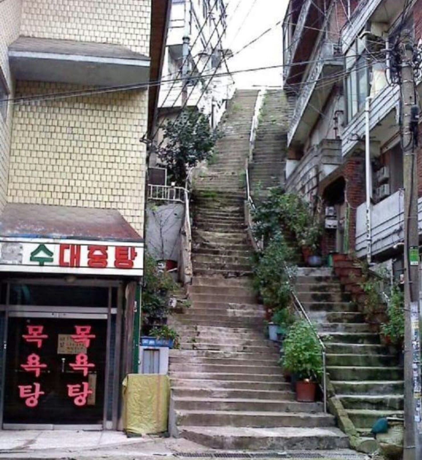 옥수장 이미지