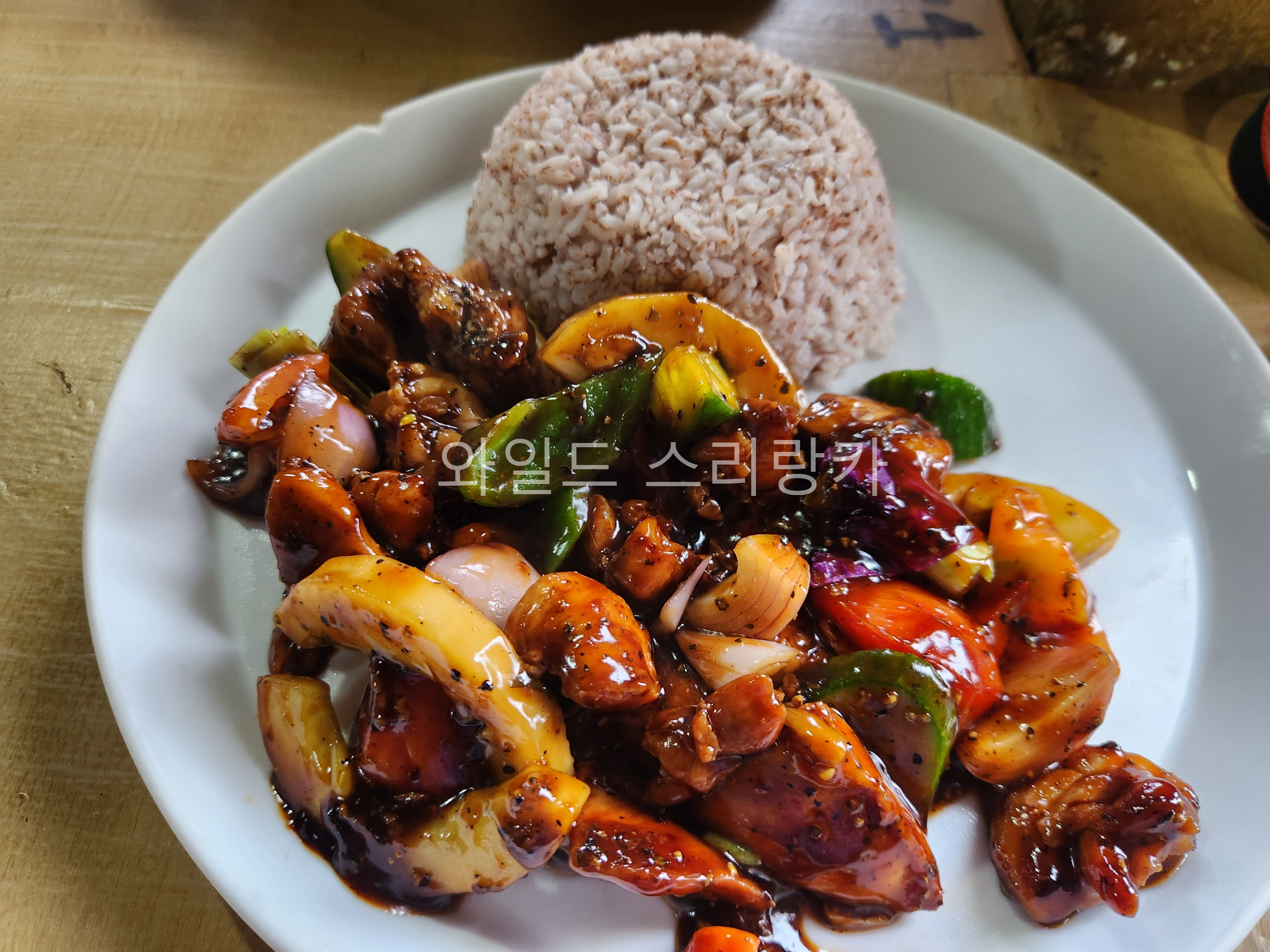 메이티(matey) 이미지