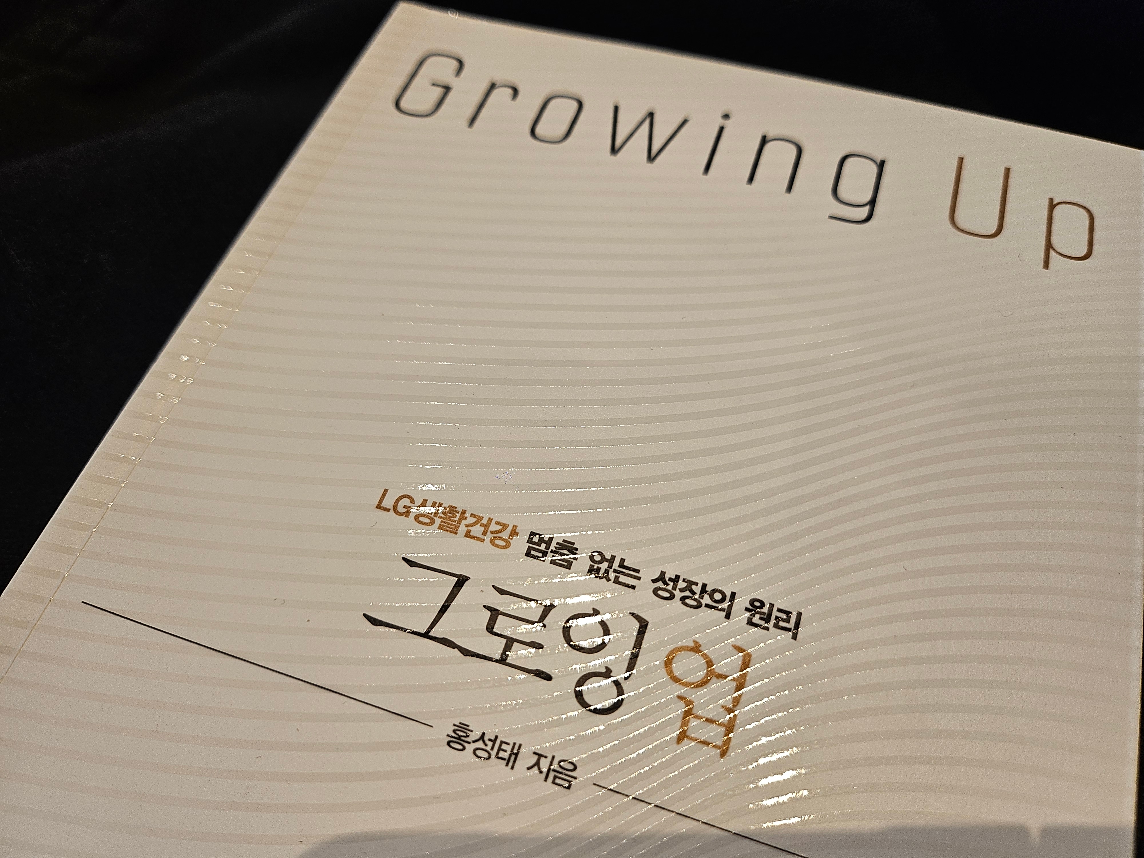 대기업 부회장이 말하는 무한 성장 비결