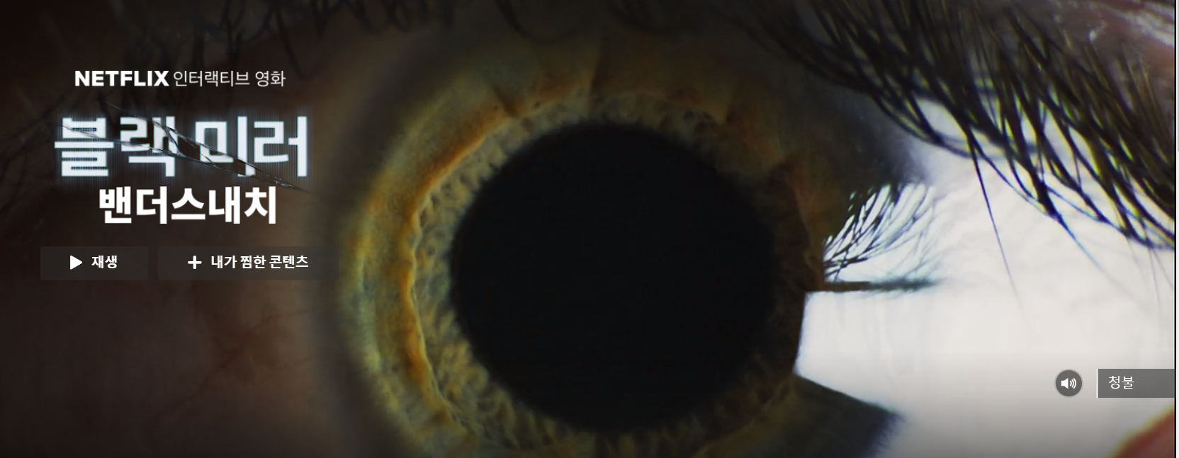 넷플릭스 영화] 블랙 미러 밴더 스내치, 강력추천!