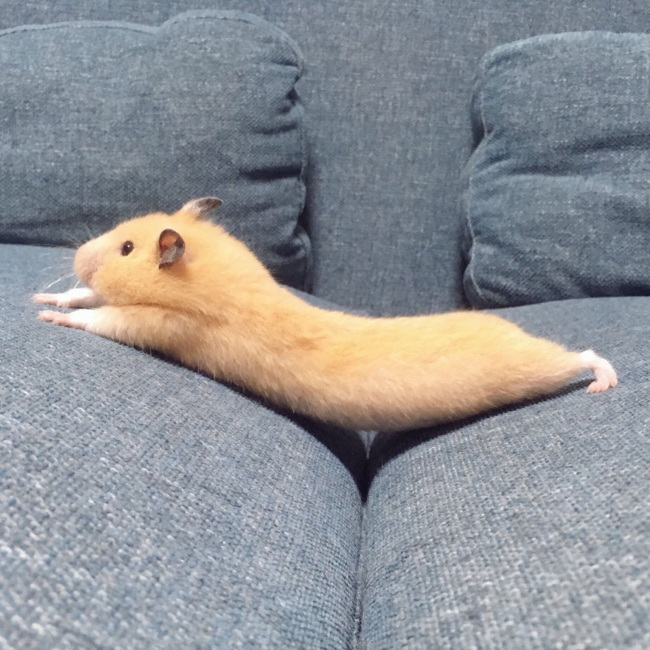 이륙