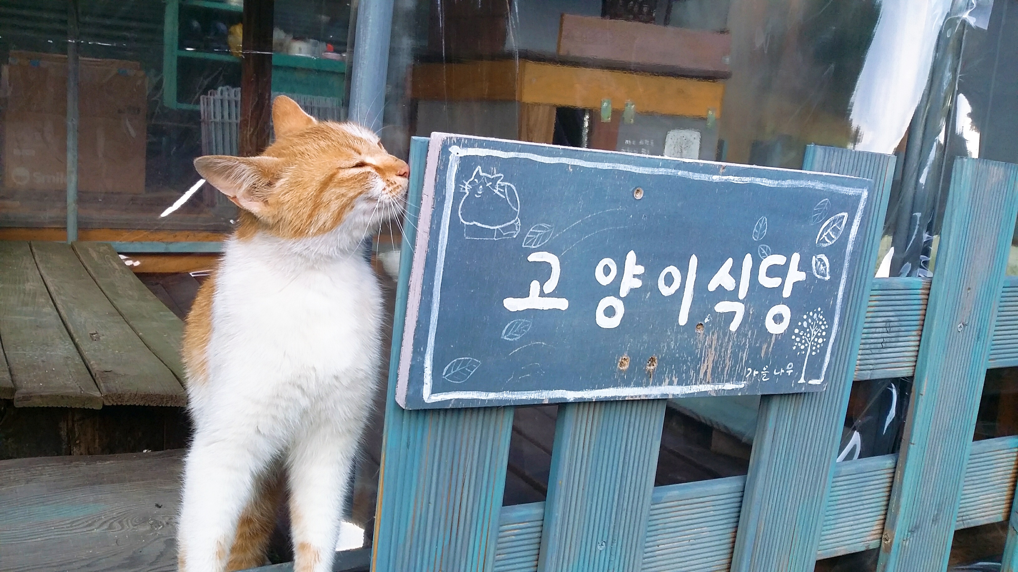 봄숲속모리 이미지