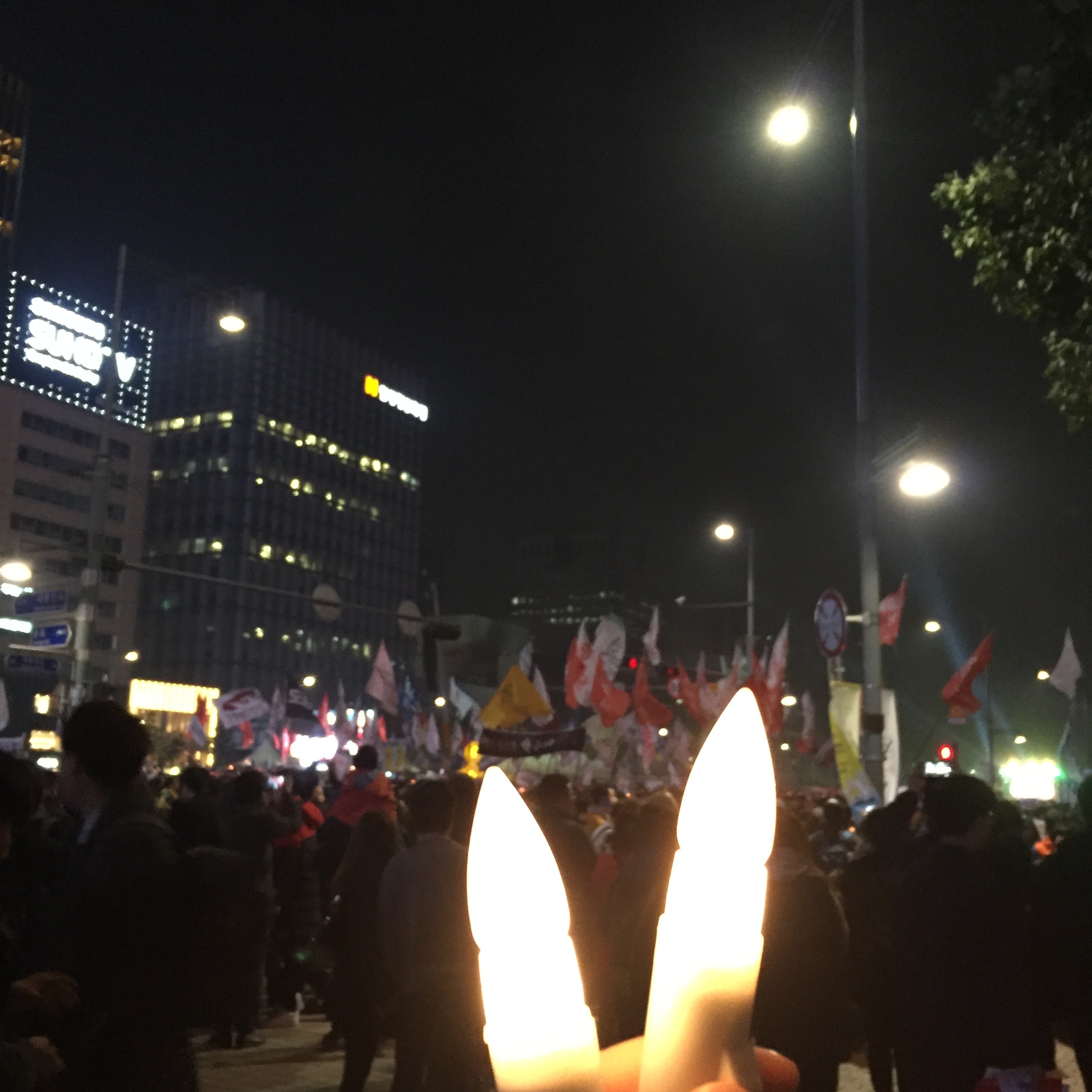동그라미에게 이미지
