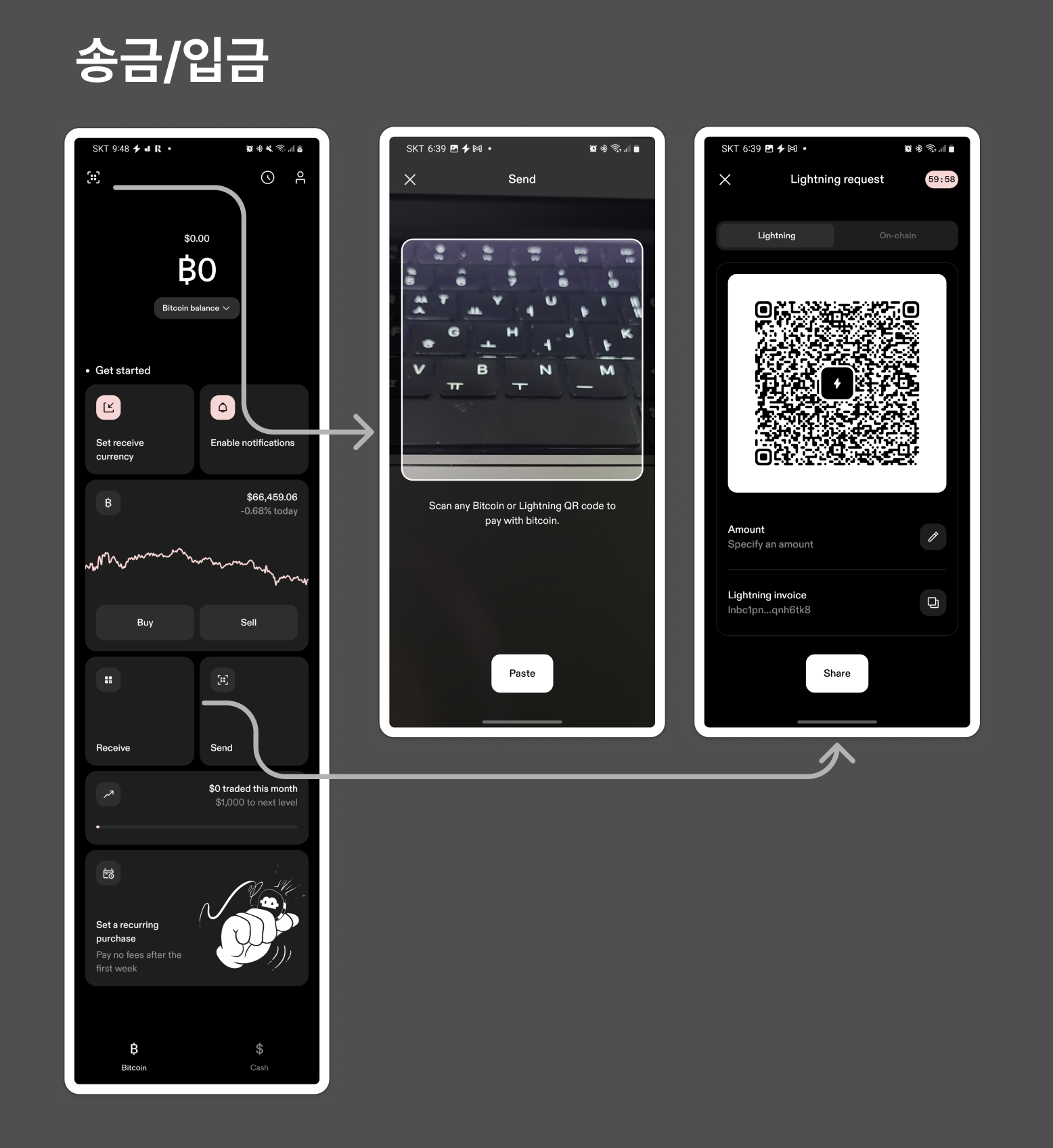 빛처럼 빠르게, 비트코인 결제가 가능하다고?