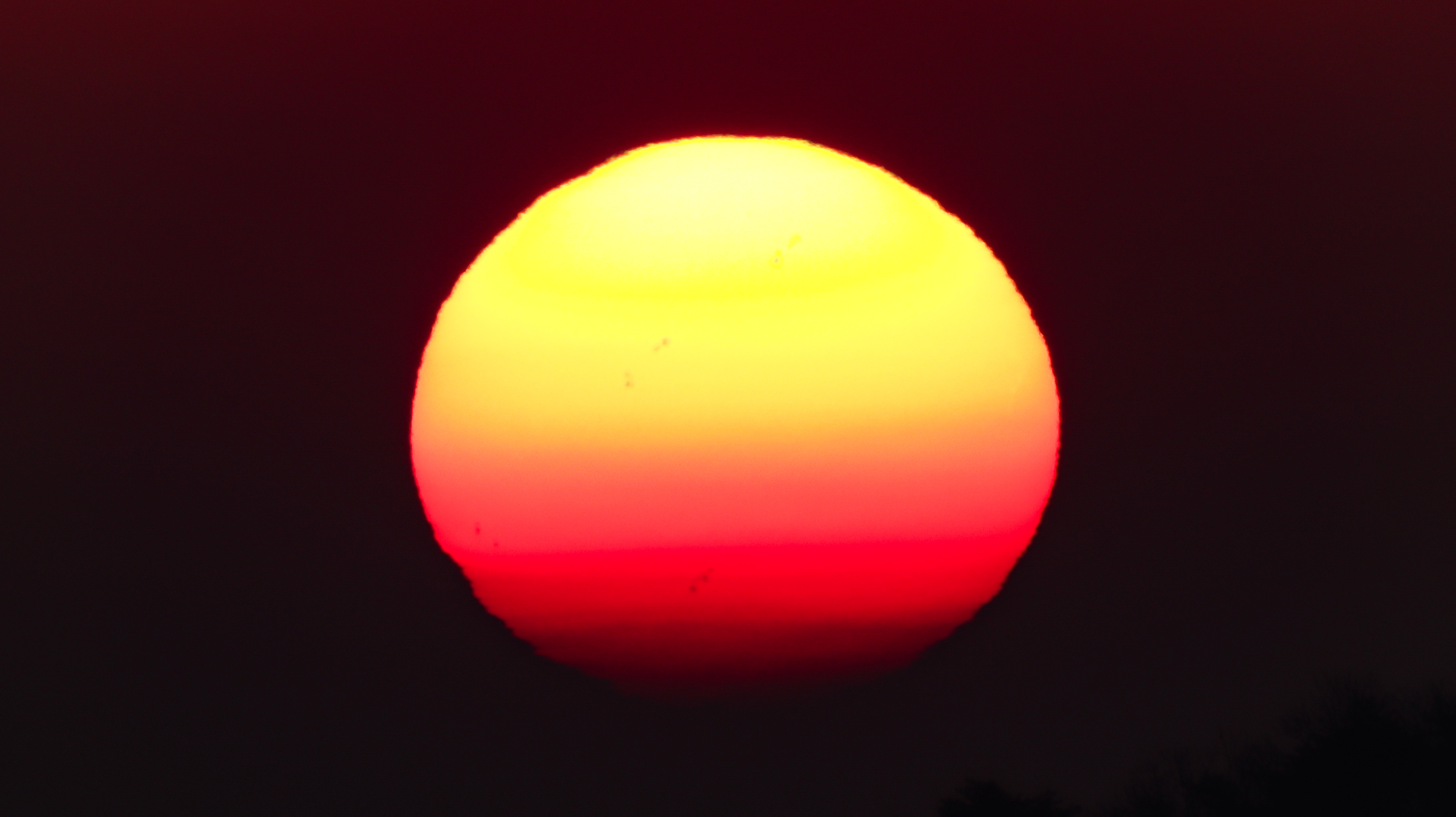 카메라로담는세상쇼핑 로이정