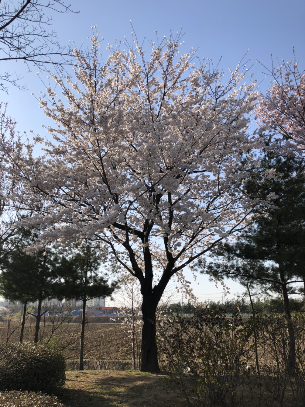 느리게 가는 중