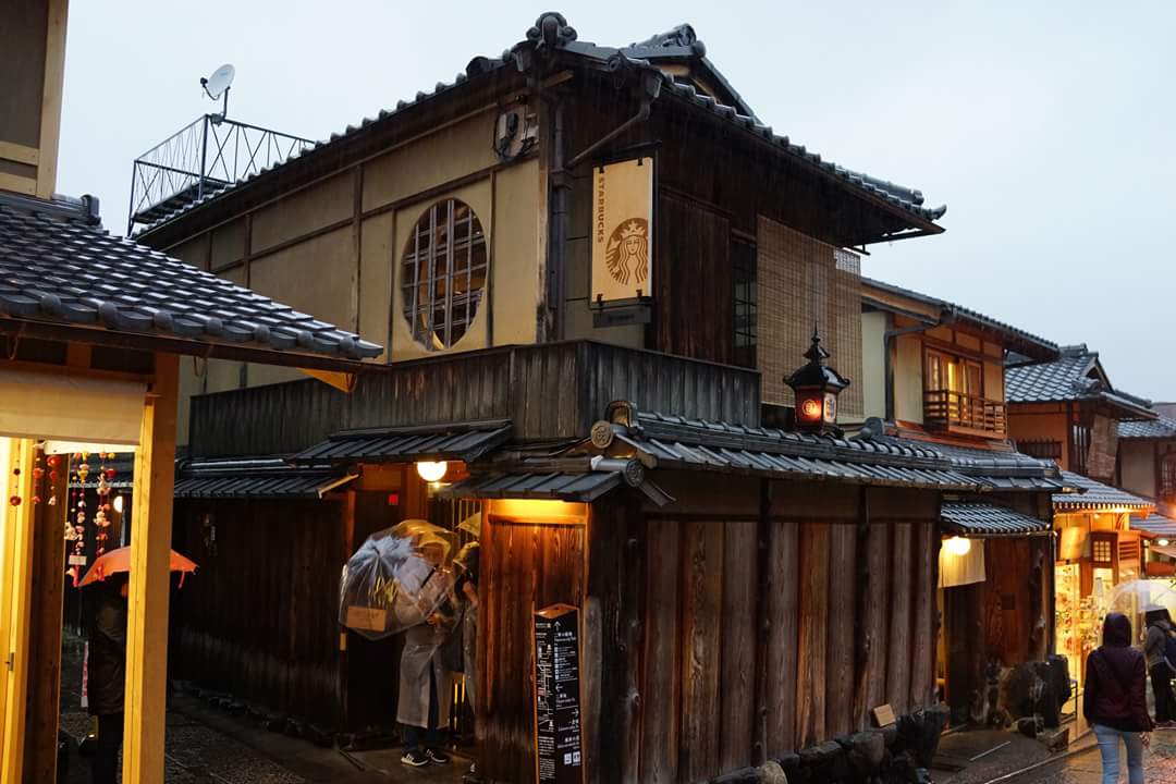 이이비박
