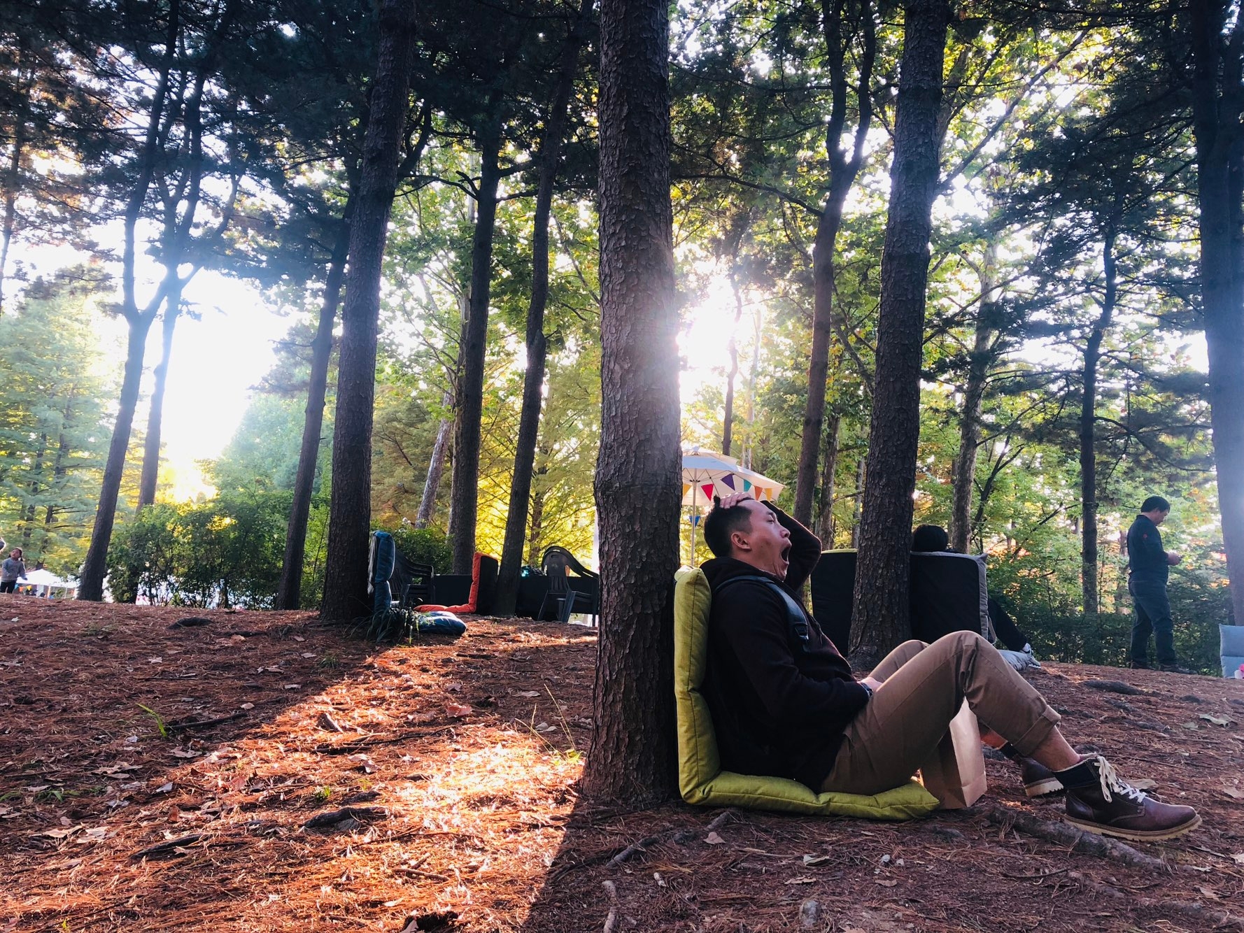 내 일을 찾고 싶은 SON