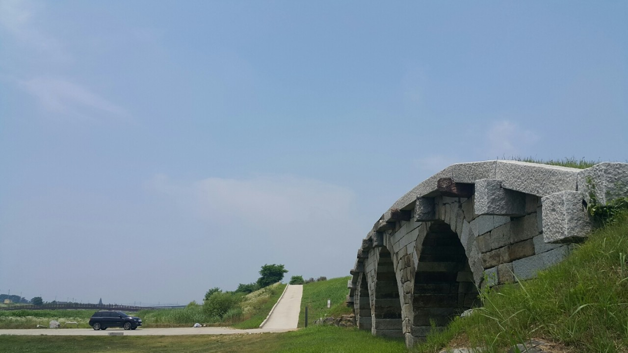 경매에 팔린 사마귀