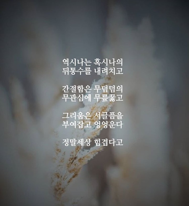 소블리