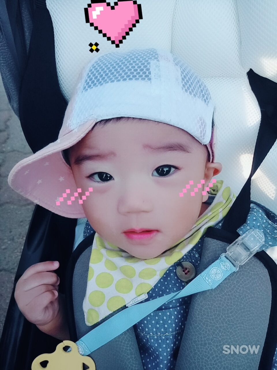 고라니