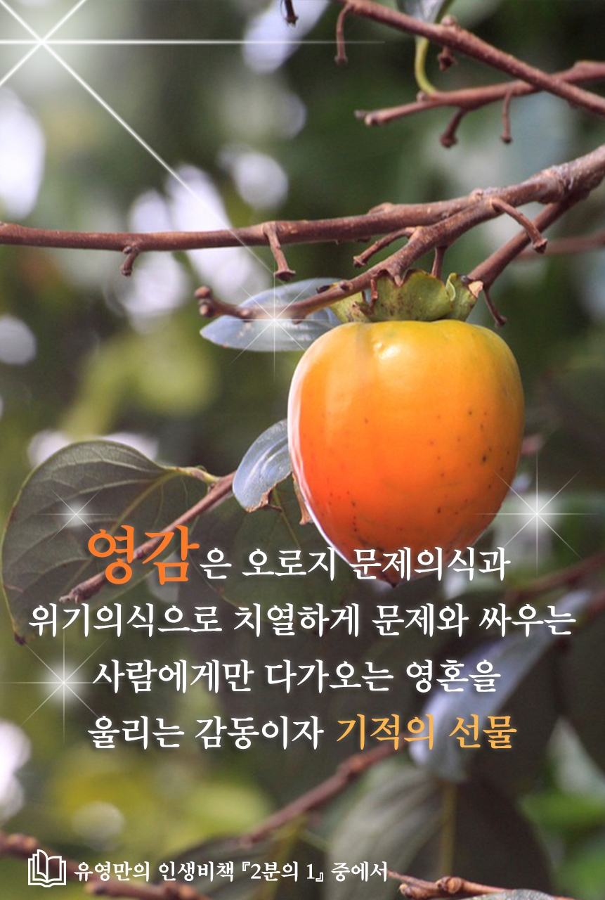 전반전후반전 이미지