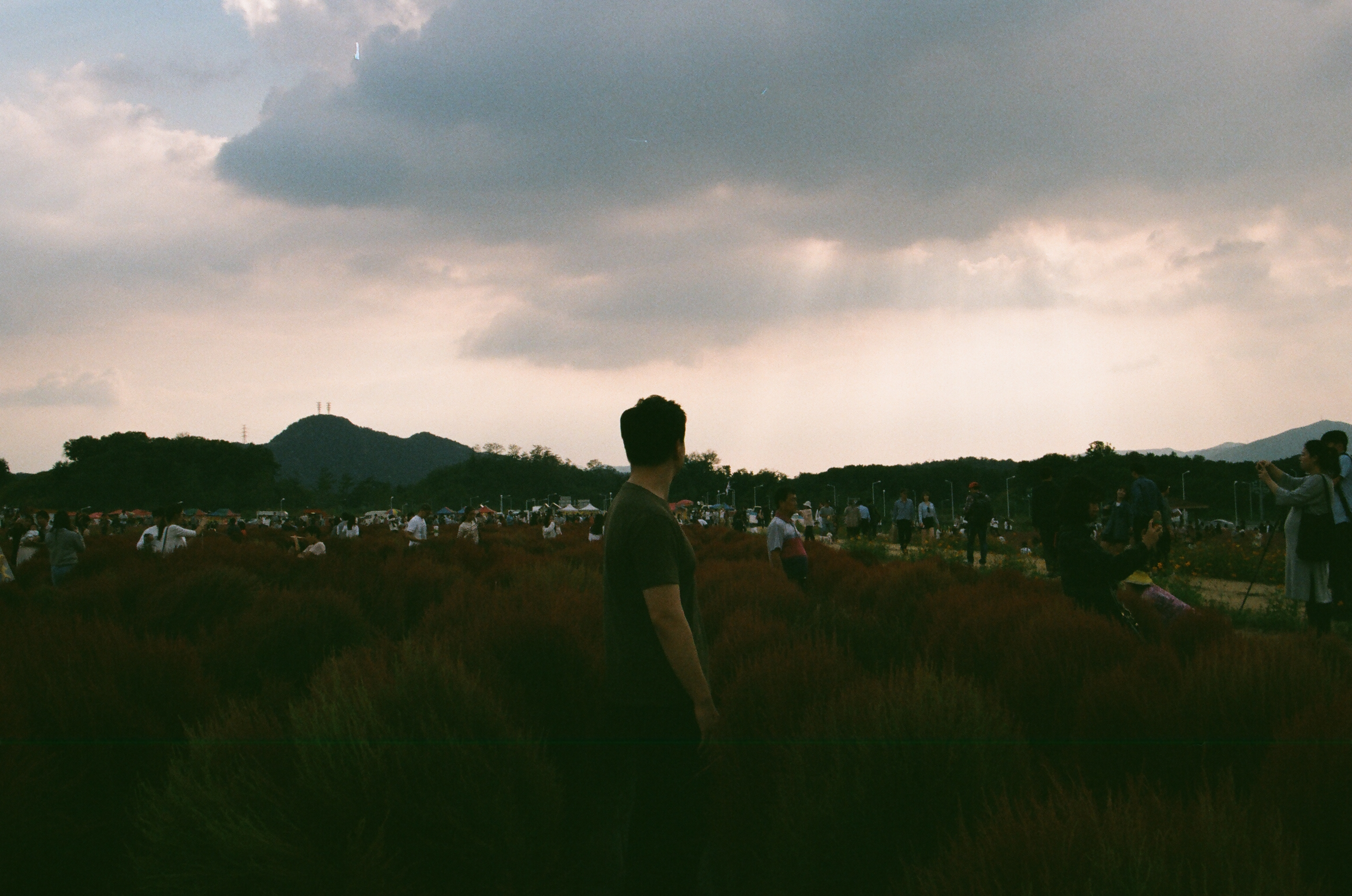 감성과잉 곰서방