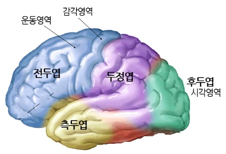 별난머리 이미지
