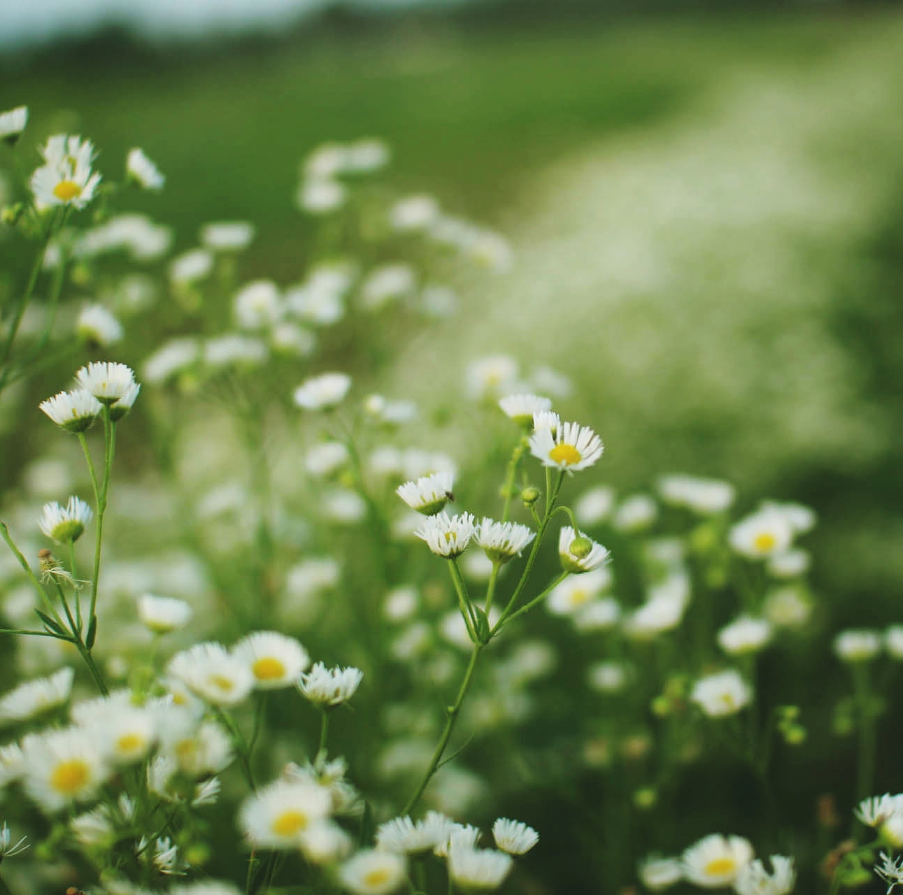 비 오는 날 미술관에서 재즈