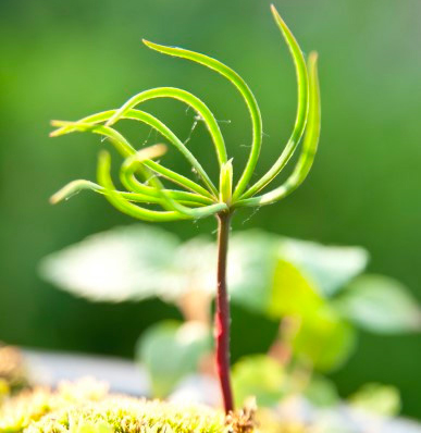 아토피정복길잡이