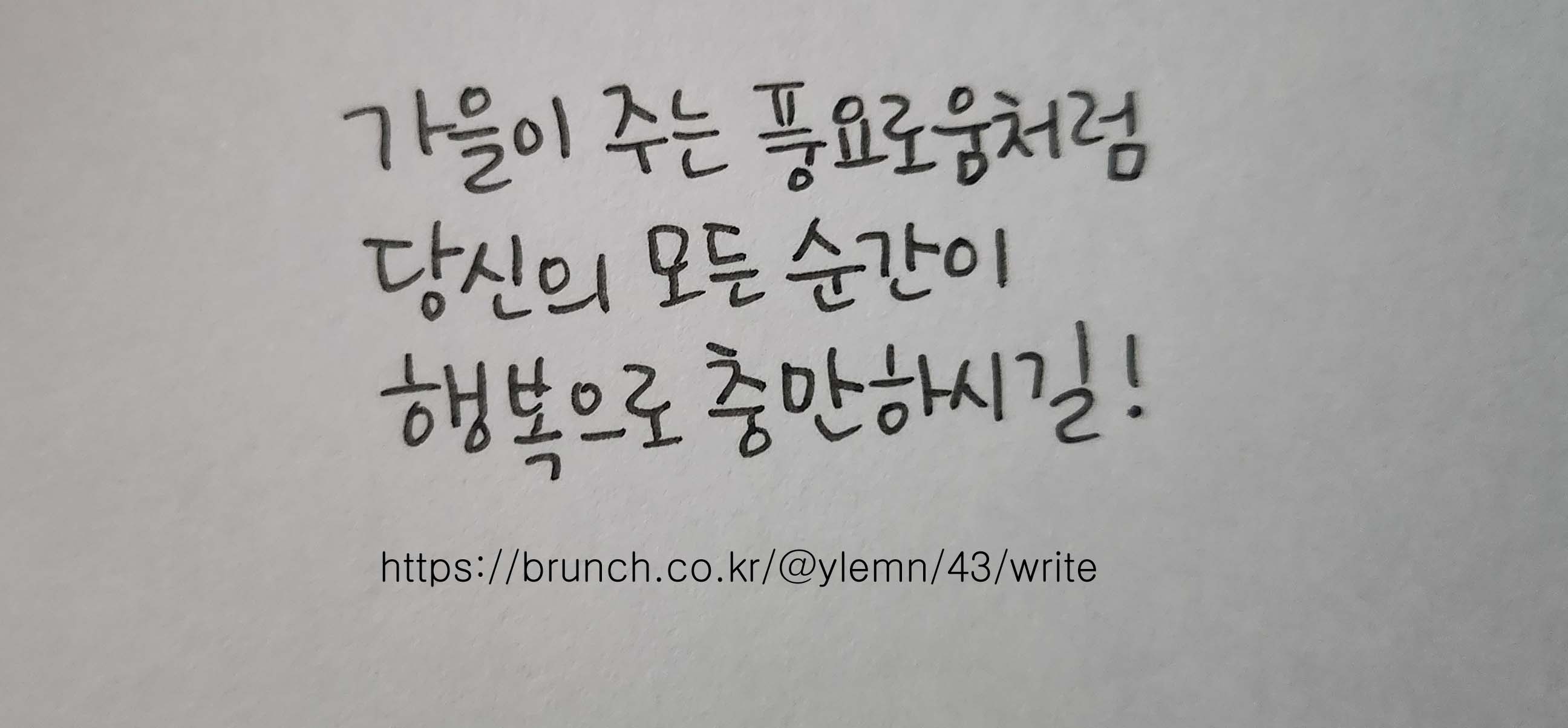 13화 아무때나 던지세요.