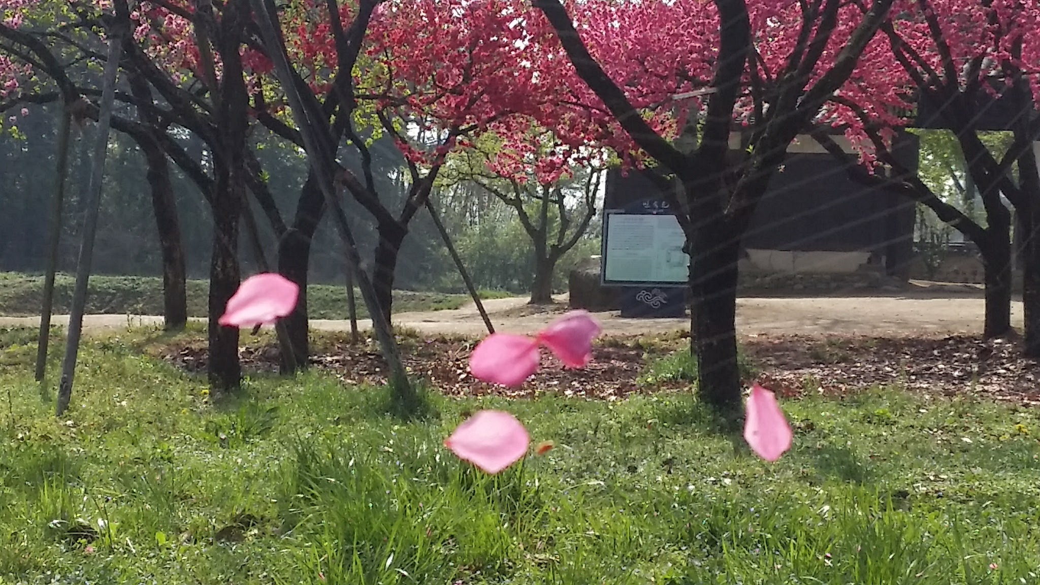 하루에 한가지 생각