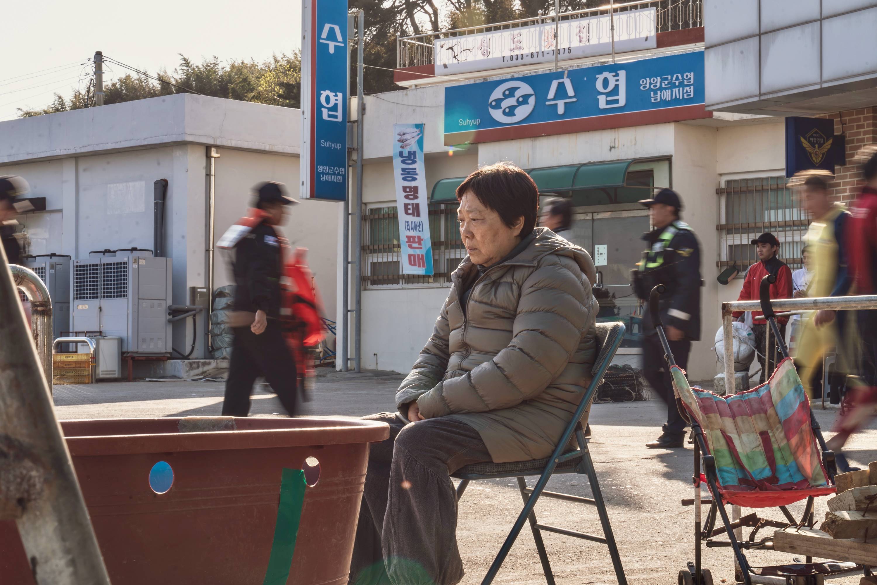 갈매기미소 이미지
