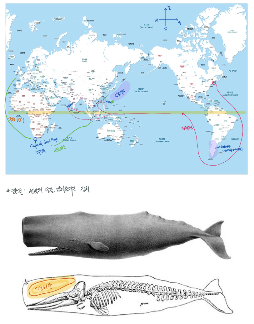모비딕 이미지