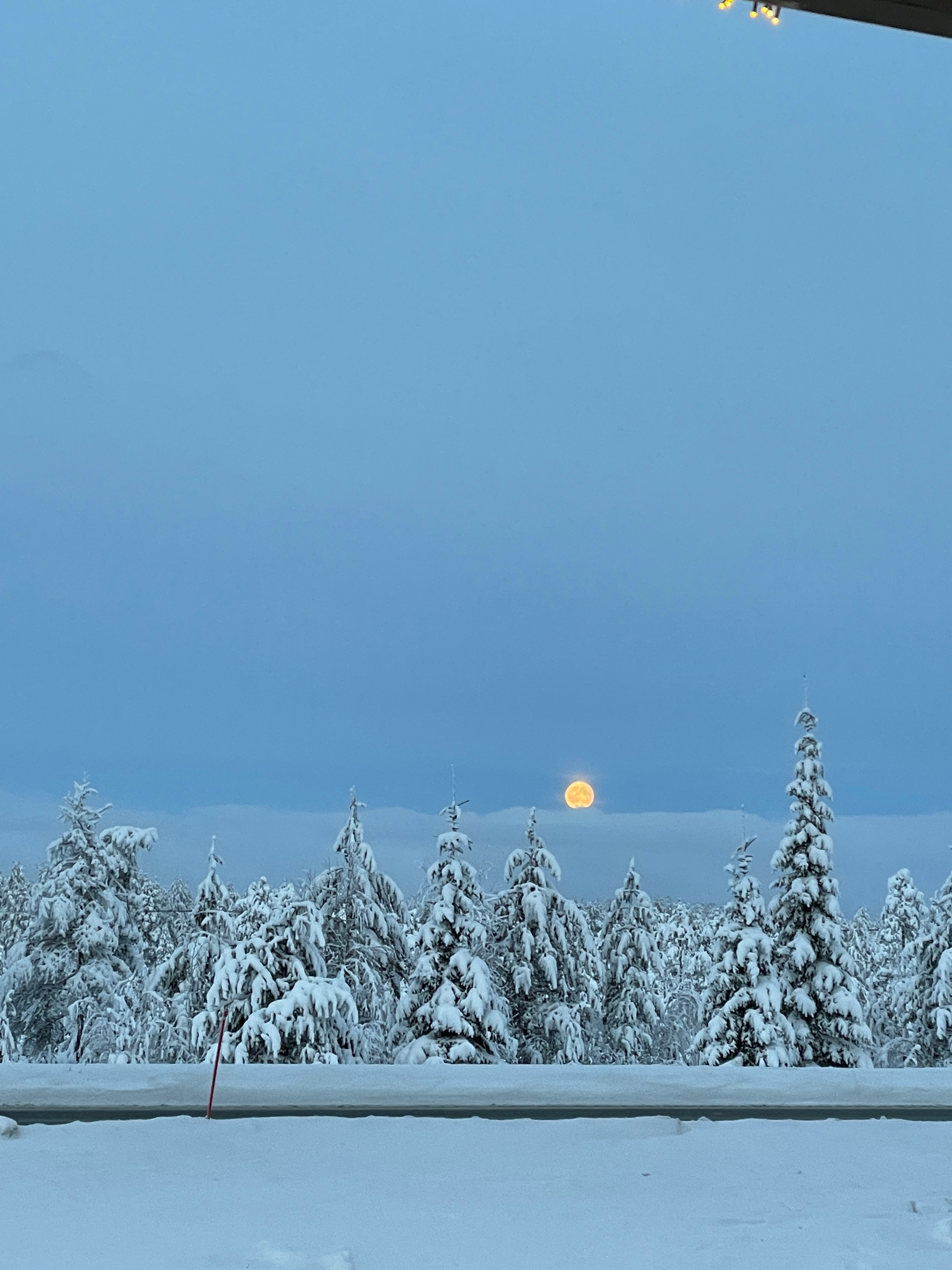 파란하늘증후군