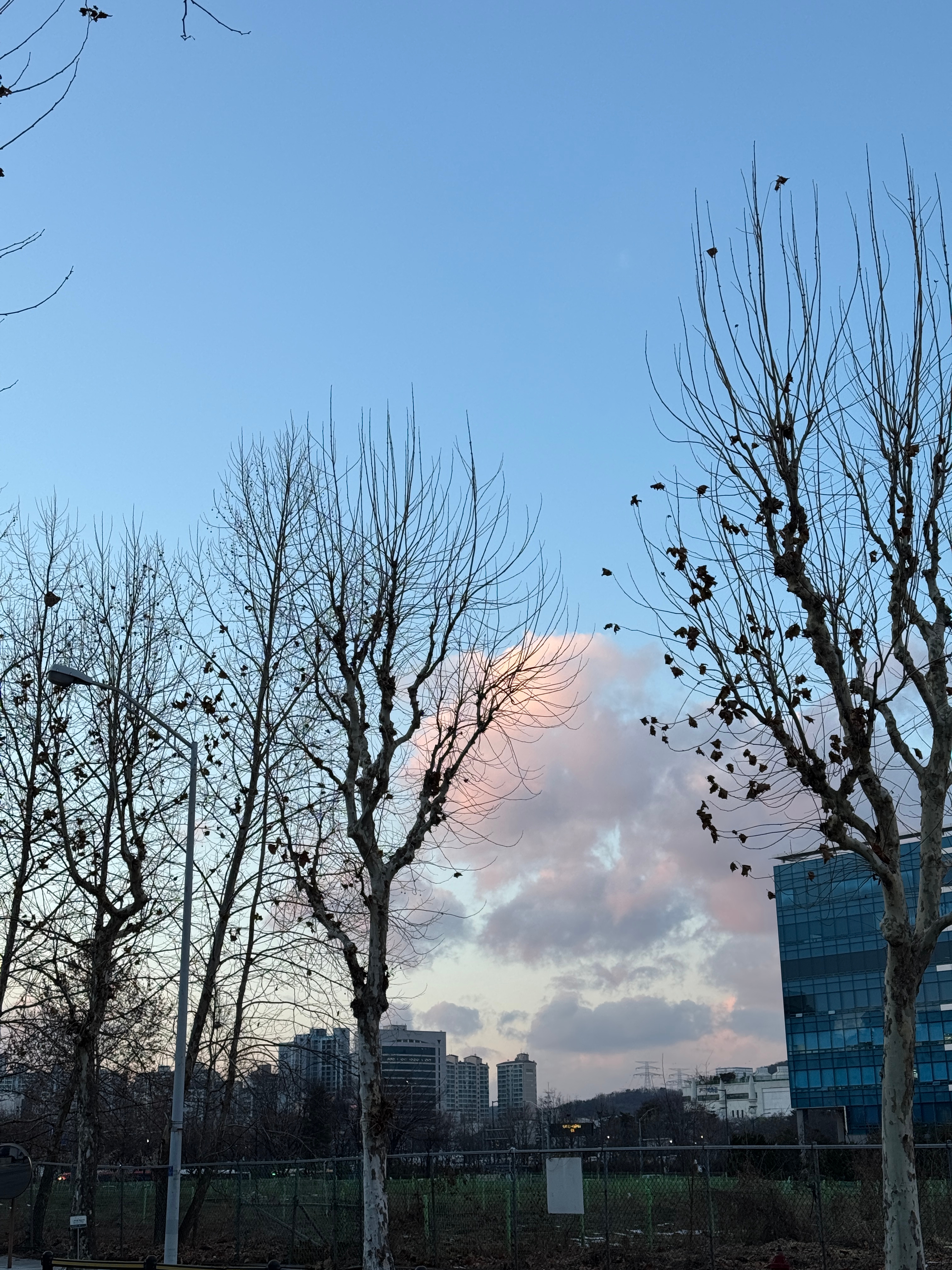 브런치북] 저는 지금 병가중입니다